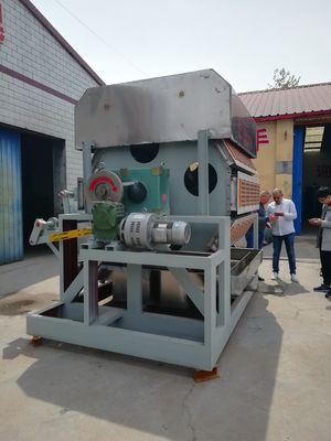 Une machine de plateau d'œufs de pointe pour des solutions d'emballage durables