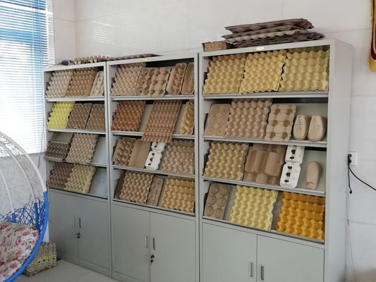 Une machine de plateau d'œufs de pointe pour des solutions d'emballage durables