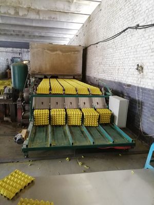 Une machine de plateau d'œufs de pointe pour des solutions d'emballage durables