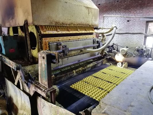 Une machine de plateau d'œufs de pointe pour des solutions d'emballage durables