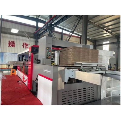 Type d'emballage du boîtier, alimentateur de bord en plomb, machine automatique de découpe et de creusement à matrices 380V